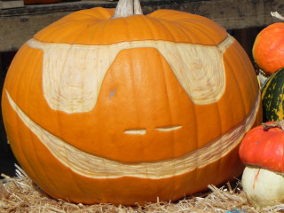 Shades, Nipomo Pumpkin Patch best carving idea